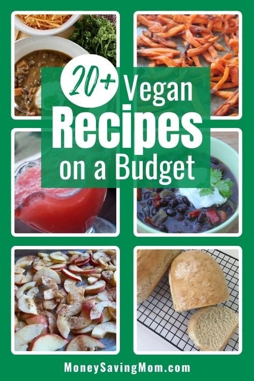 20+ Simple Vegan Recipes on a Budget! (Breakfast, Dinner, Dessert, and Snacks)