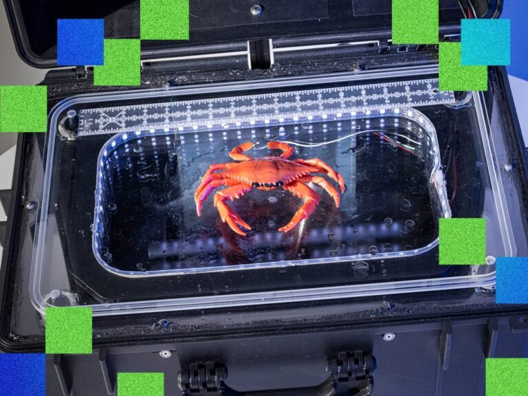 An AI 'deckhand' could make crab fishing less labor-intensive