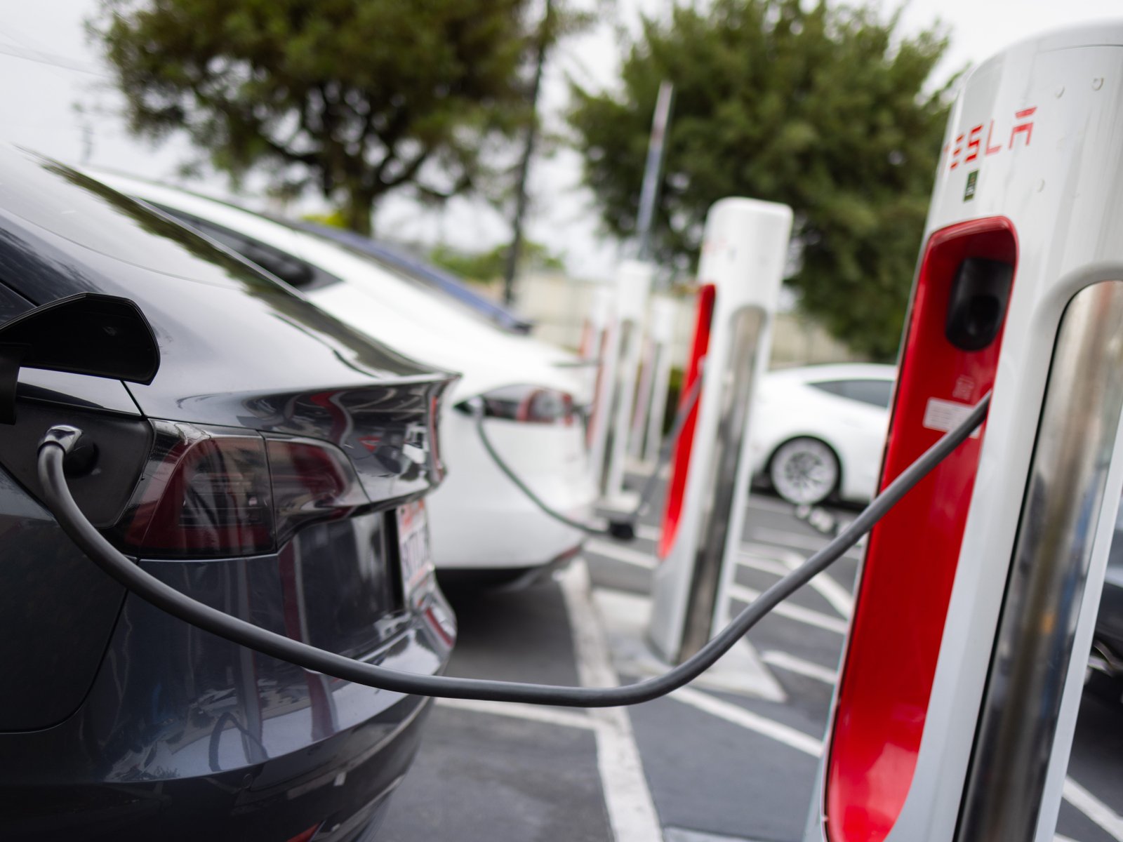 16 states and DC are suing the Trump administration over blocking funding for EV chargers