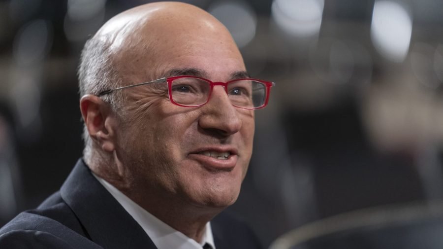 O'Leary: Musk just learned Washington 'an incredibly nasty place'