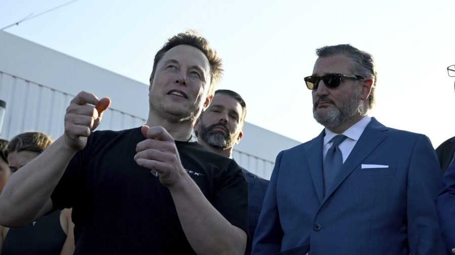 Cruz says Americans should be saying 'thank you' to Musk
