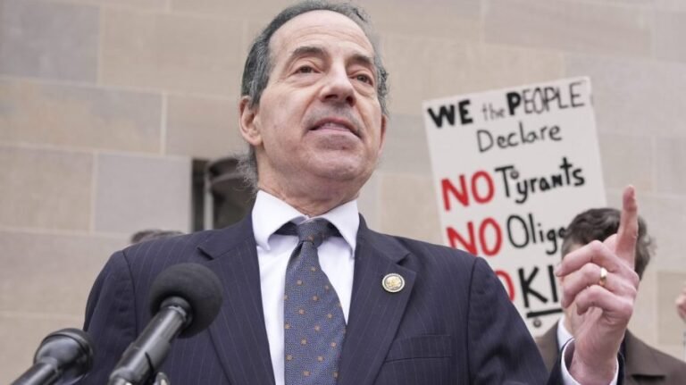 Raskin: Trump has to get congressional approval for Qatar jet