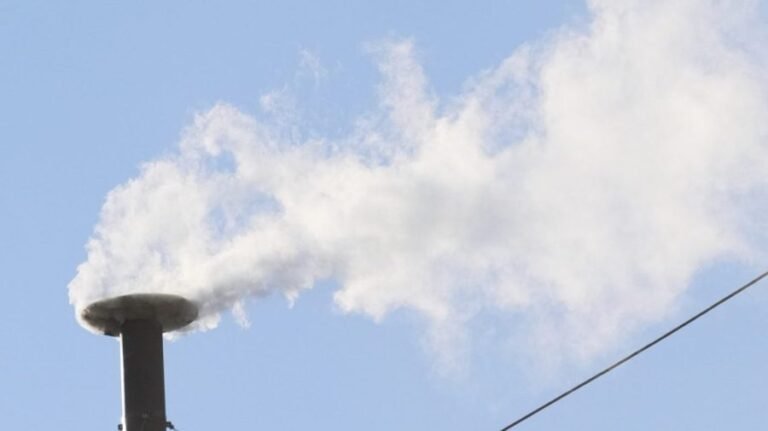 Cardinals elect new pope