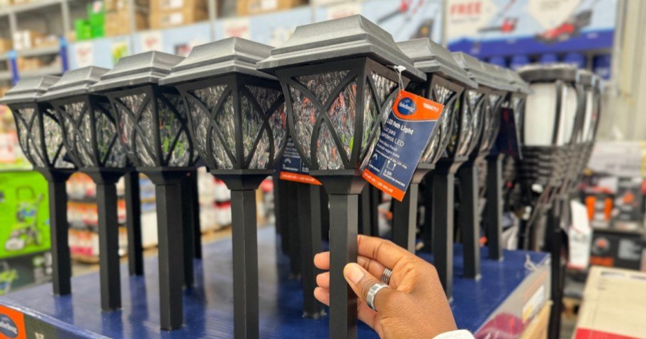 Solar LED Outdoor Path Lights ONLY $2.48 on Lowes.com