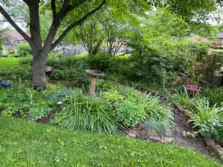 Garden Blogger’s Challenge #3, Buckle Up!