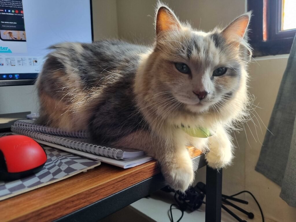 A Bittersweet Farewell: Crystal & Ivy Say Goodbye