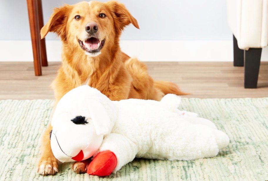 HUGE Lamb Chop Dog Toy Only $9.55 on Amazon
