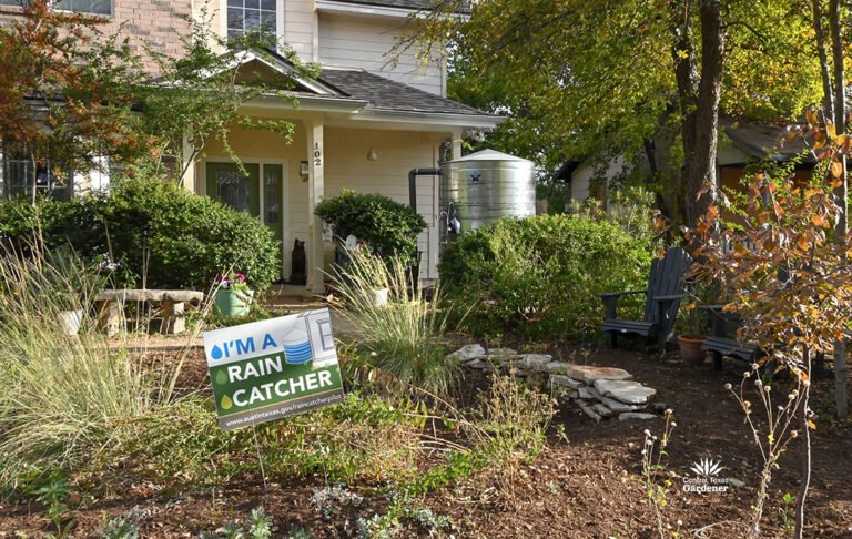 Rain Gardens: Catch and Hold Runoff Water