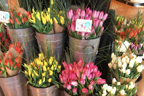Whole Foods: 15 Single Color Tulips only $9.99 for Amazon Prime Members!