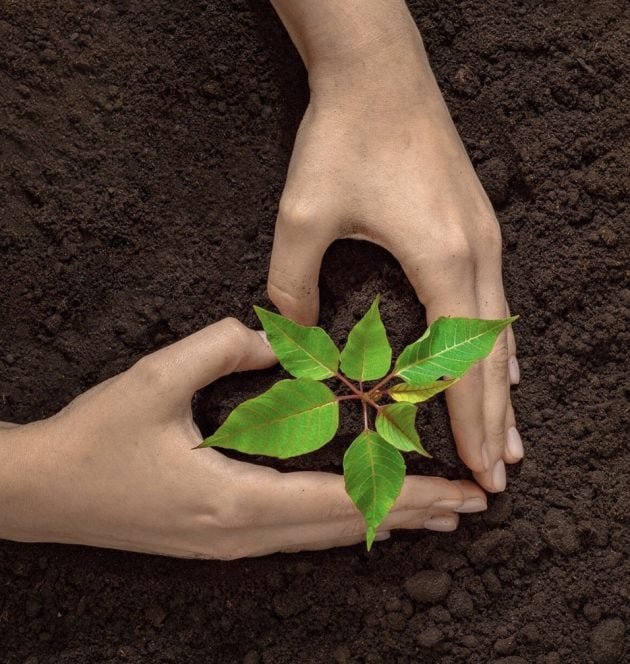 Free Plantable Seed Paper Heart!