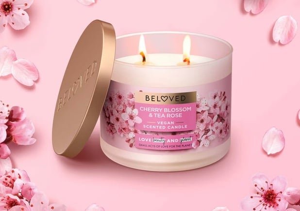 Four Beloved Products only $1.46 after Cash Back at Target!