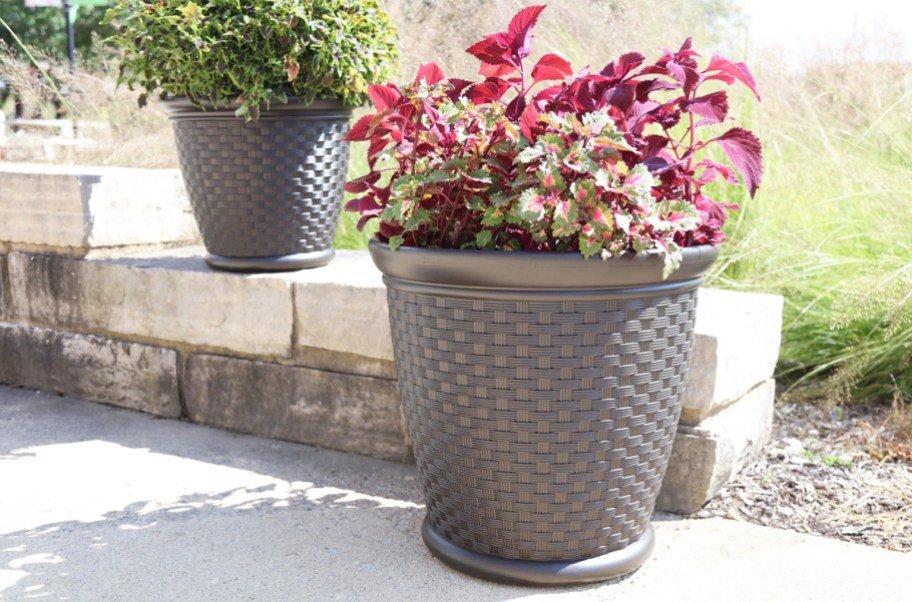 Large Suncast Planters 2-Pack Just $28 (Regularly $70)