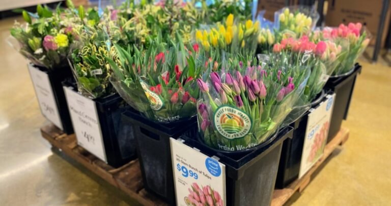 Whole Foods 15-Stem Tulip Bunches Only $9.99 for Amazon Prime Members