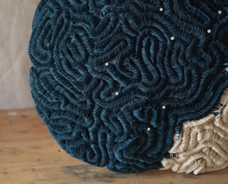 Recycled Materials Draw Attention to Ocean Plastics in Ana Brecevic’s Assemblages