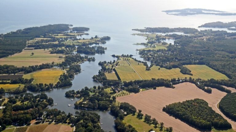 River Alkalinization and Ocean Acidification Face Off in Coastal Waters