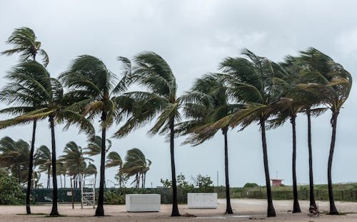 Batten Down The Hatches: 2025 Hurricane Names Have Been Announced