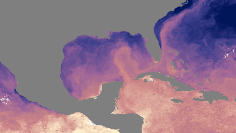 Ocean Current Affairs in the Gulf of Mexico