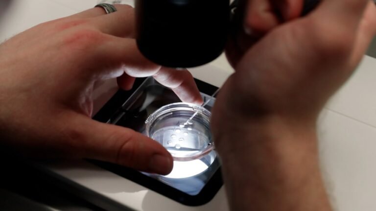 Democratic senators ask Trump administration to rehire CDC IVF team