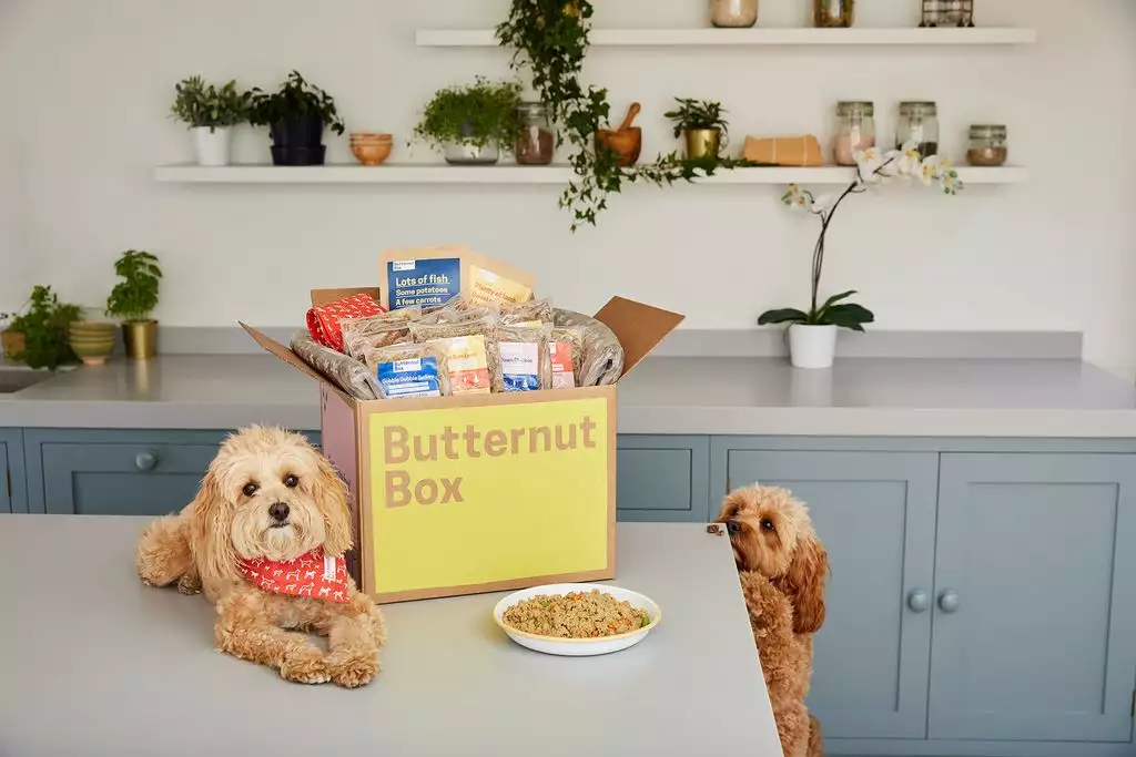 The Week in AgriFoodTech: Butternut Box fetches $100m, OroraTech raises $42m, Converge lands $22m