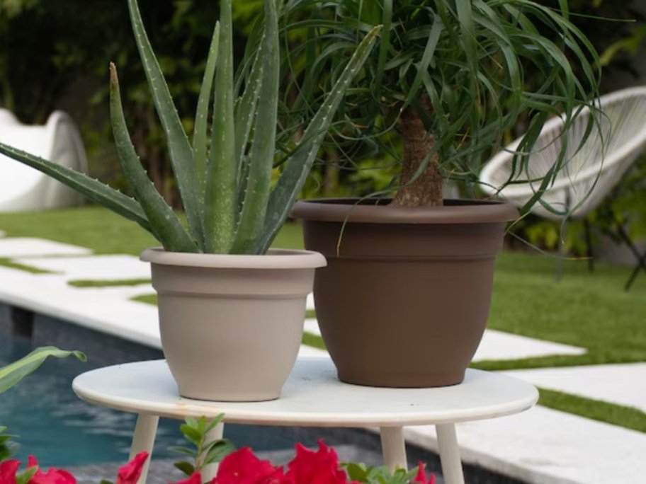Self-Watering Planters from $3.49 on Lowes.com (Regularly $10)