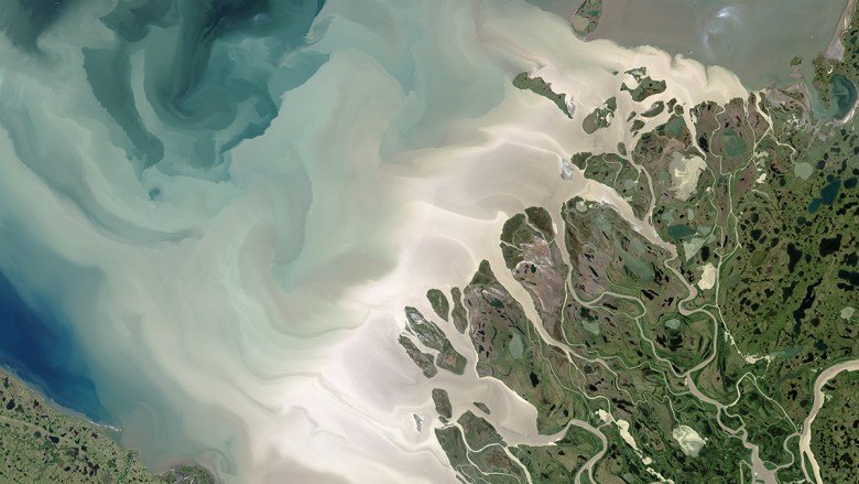 The Uncertain Fate of the Beaufort Gyre