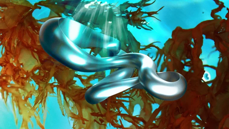 Why this startup is mining seaweed to power EVs