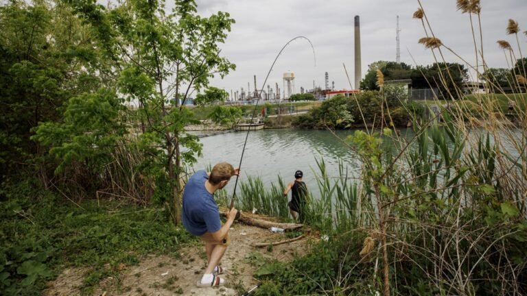 Under Trump’s emergency order, this pipeline through the Great Lakes wetlands could get fast-tracked