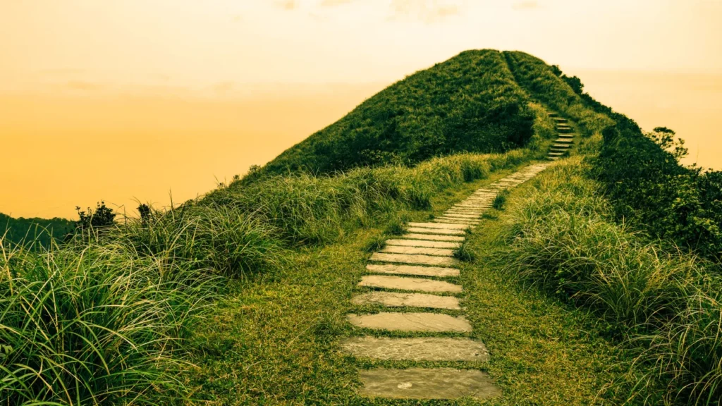 How to move forward when you don’t know your next career step