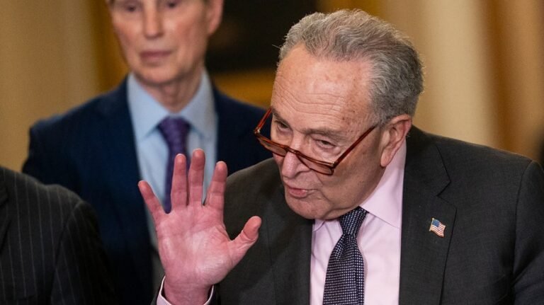 Schumer blasts Trump's response on upholding the Constitution 