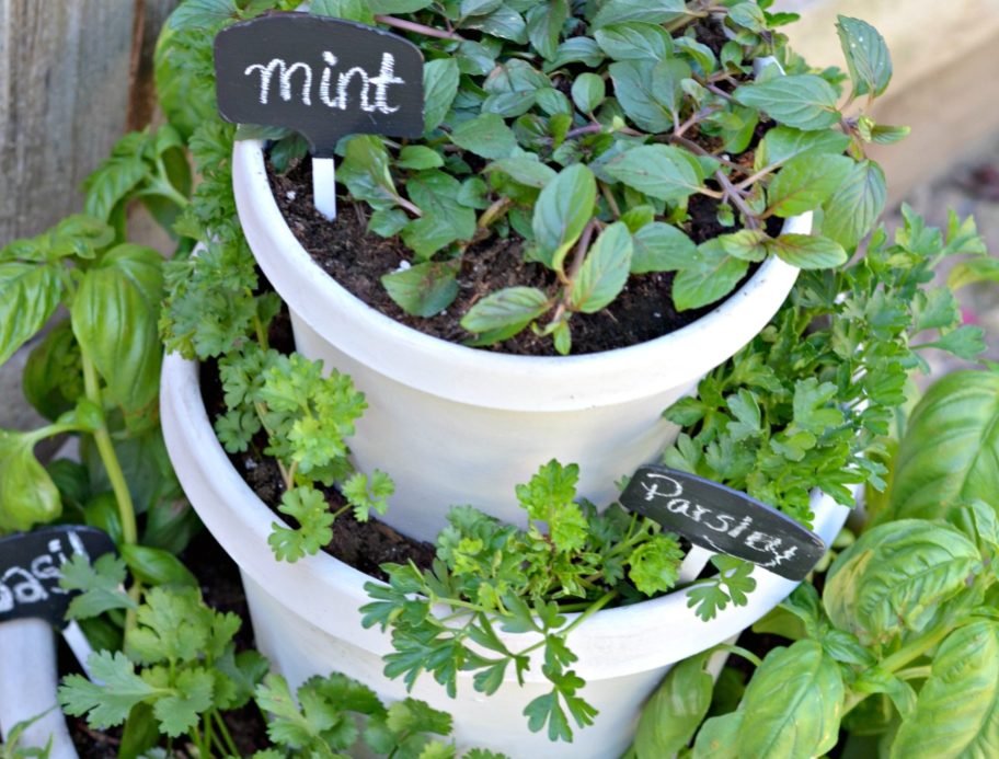 Build a Stacked Garden & Start Growing Herbs at Home!
