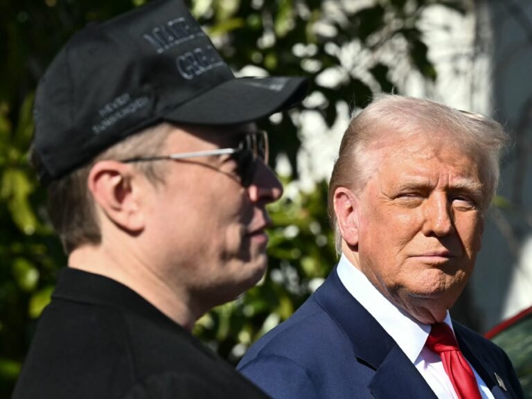 Elon Musk calls Trump's spending bill 'utterly insane' as Senate gears up for a vote