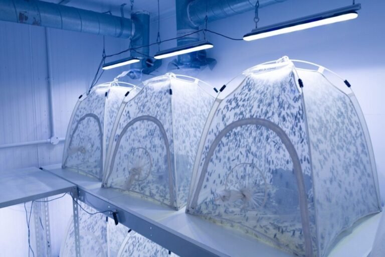 The Week in AgriFoodTech: Coco Robotics bags $80m, Tastewise secures $50m, Tebi raises $34m