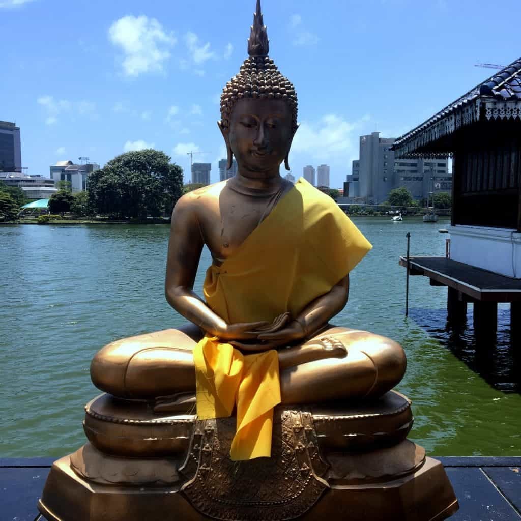 Why Sri Lanka is perfect for your next family holiday