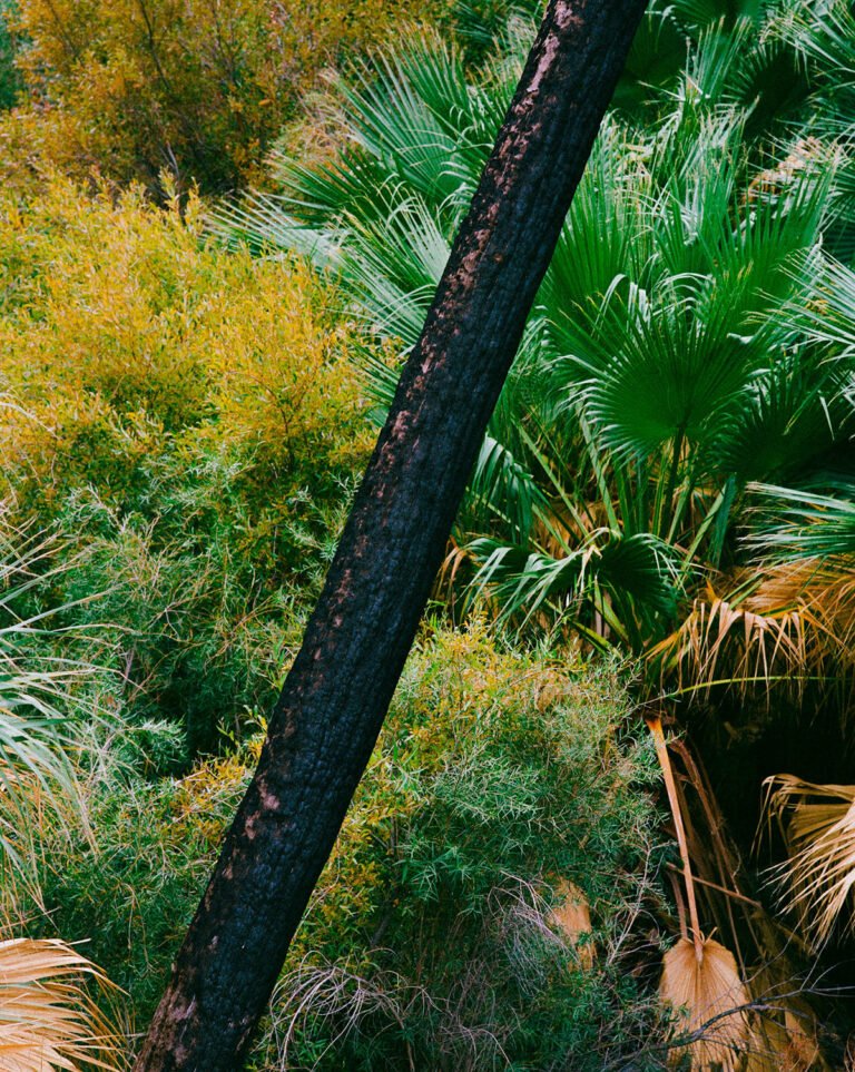 “California Dreams” by Photographer Nicolas Denolle