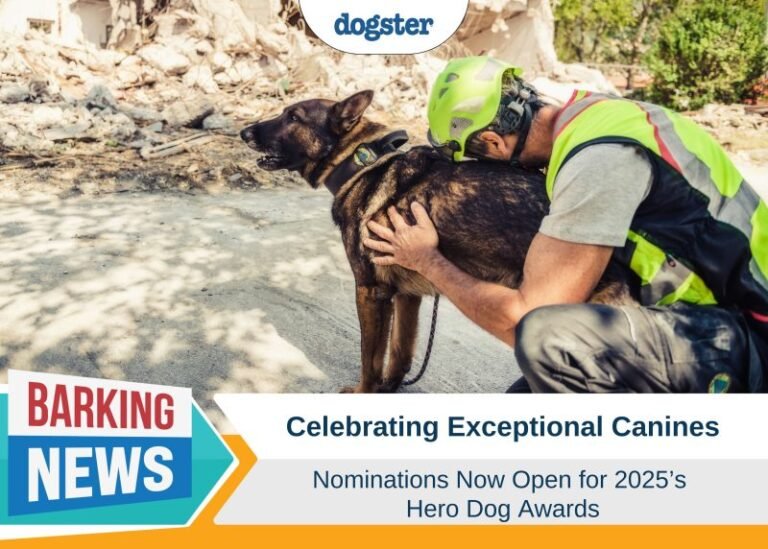 Celebrating Exceptional Canines: Nominations Now Open for 2025’s Hero Dog Awards®