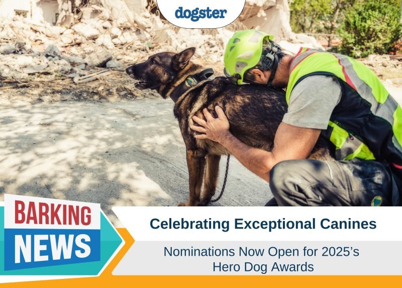 Celebrating Exceptional Canines: Nominations Now Open for 2025’s Hero Dog Awards®
