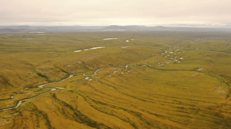 Water Tracks: The Veins of Thawing Landscapes