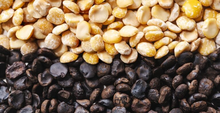 Belgian startup Koppie emerges from stealth to disrupt alt-coffee market with single-ingredient offering