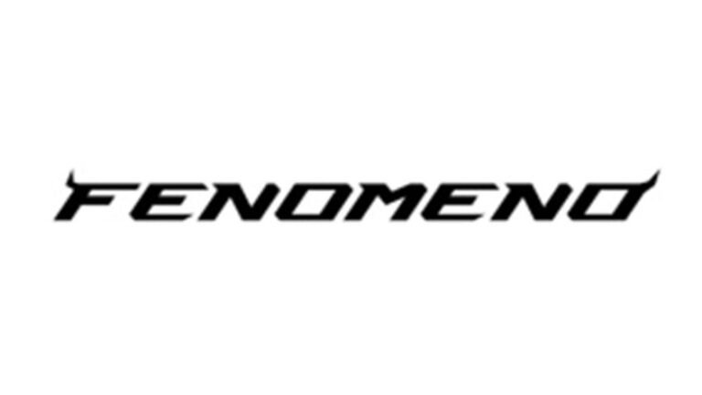 New Lamborghini Fenomeno looks like another hyper-exclusive hypercar