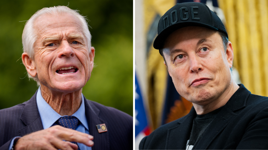 Navarro 'not glad or whatever' about Musk exit
