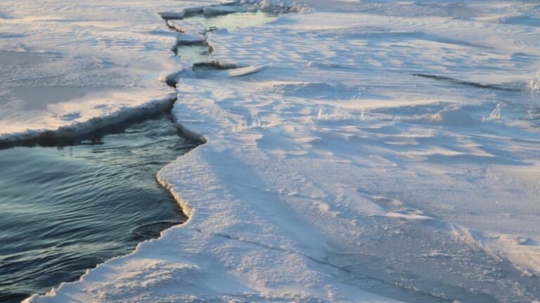 Finding Consensus on Arctic Ocean Climate History