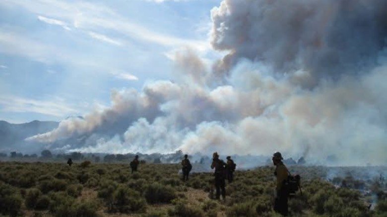 The Goldilocks Conditions for Wildfires