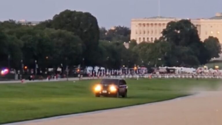Guy Drives On National Mall After Letting Intrusive Thoughts Win