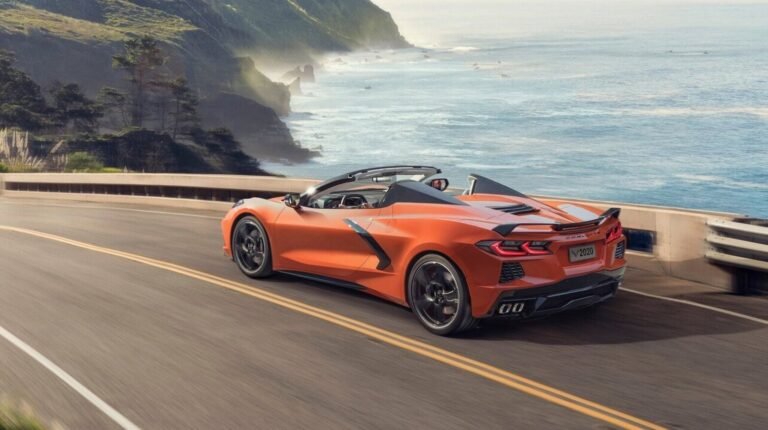 I Want A Sports Car That Is Good For My Cat! What Should I Buy?
