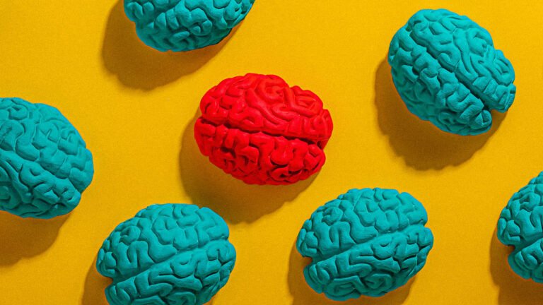 Why your brain matters more than ever in the AI age