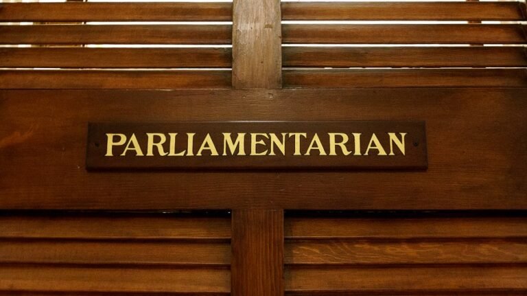 Here's what the Senate parliamentarian has struck from Trump's megabill