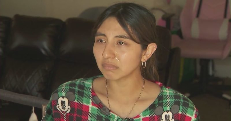 Pregnant US citizen detained by Border Patrol agents: 'We didn't do anything wrong'