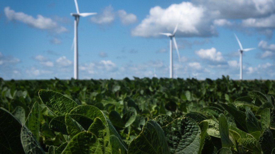Trump: 'We're not going to approve windmills'