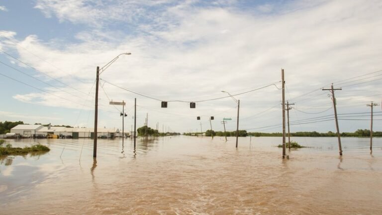 Científicos revelan los peligros ocultos del calor y las inundaciones en Texas