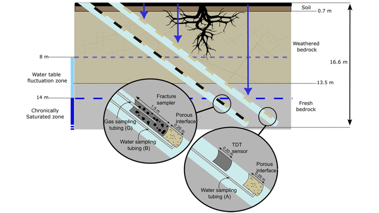 Deep Root Respiration Helps Break Down Rocks